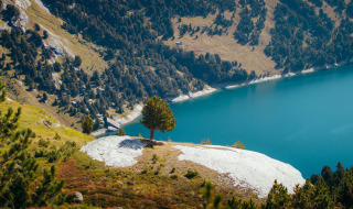 Lone tree on a hilltop overlooking a blue lake and forested mountain slopes near Herpelmont, France.