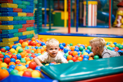 Twee jonge kinderen spelen in een kleurrijke ballenbak, een hoogtepunt van De Scherpenhof in Gelderland.