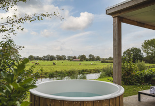 Bain à remous extérieur avec vue sur des prés verts, des vaches et une rivière à River Lodge 'Wellnesshuus', Mölke, Pays-Bas.