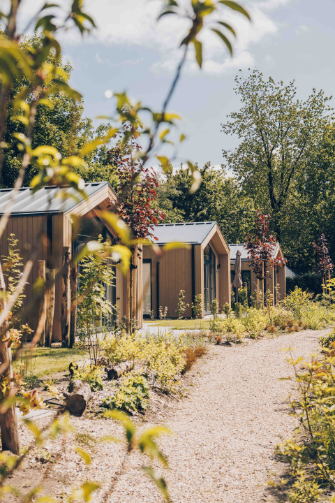 Tiny lodges alongside a gravel path with greenery at Tiny Lodge with Hot tub at Veluwepark de Bosgraaf, Netherlands.