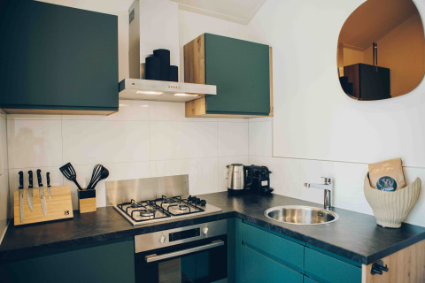 Moderne kleine keuken met fornuis, oven en groene kasten in Tiny Lodge bij Veluwepark de Bosgraaf, Nederland.