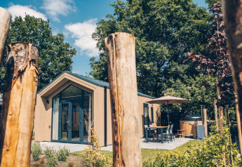 Tiny Lodge con patio e vasca idromassaggio a Veluwepark de Bosgraaf, Paesi Bassi, circondata dagli alberi.