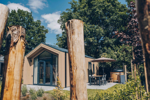Tiny Lodge con patio e vasca idromassaggio a Veluwepark de Bosgraaf, Paesi Bassi, circondata dagli alberi.