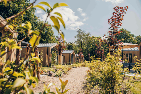Rangée de petites maisons en bois entourées de verdure et d’arbres sous un ciel ensoleillé.
