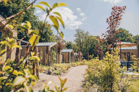 Righe di tiny house in legno tra piante verdi e alberi giovani sotto un cielo soleggiato estivo.