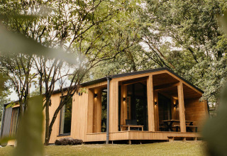 Moderne houten cabin Hill Top Scandi met sauna, omringd door bomen in Wilsumer Berge, Duitsland.