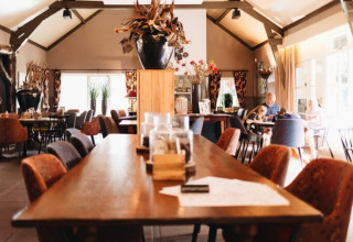 Hospitalidad interior - Beerze Bulten - Beerze, Overijssel, Países Bajos