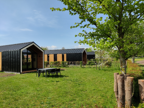 Casas tiny modernas con techos negros y paneles de madera en Holiday park Eigen Wijze, Países Bajos, rodeadas de naturaleza.