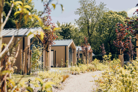 Tiny Lodge con jacuzzi en Veluwepark de Bosgraaf, Países Bajos, rodeada de vegetación y árboles frondosos.