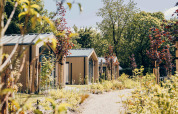 Tiny Lodge mit Whirlpool im Veluwepark de Bosgraaf in den Niederlanden, umgeben von Sommergrün.