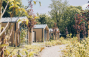 Tiny Lodge con jacuzzi en Veluwepark de Bosgraaf, Países Bajos, rodeada de vegetación y árboles frondosos.