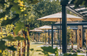 Outdoor lodge terrace with sun umbrellas, lush greenery, and modern seating on a sunny day in nature.