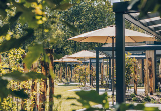Außenbereich einer Lodge mit Sonnenschirmen, viel Grün und moderner Terrasse an einem sonnigen Tag.