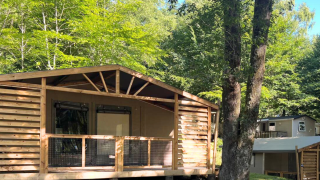 Safari-Zelt Cotton Flower Canvas Lodge Comfort im Grünen, umgeben von Bäumen und Natur im Wald.