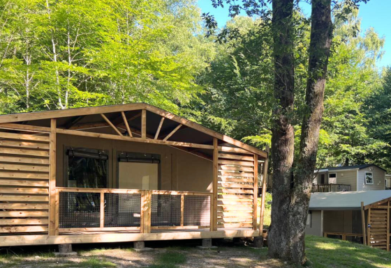 Safari-Zelt Cotton Flower Canvas Lodge Comfort im Grünen, umgeben von Bäumen und Natur im Wald.