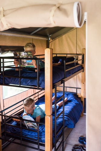 Zwei Jungen lesen Bücher auf einem Etagenbett mit blauer Bettwäsche in einem Safarizelt.