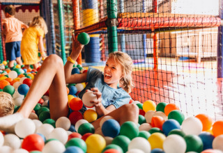 Kinderen spelen vrolijk in een kleurrijke ballenbak, een hoogtepunt van vakantiepark Beerze Bulten.