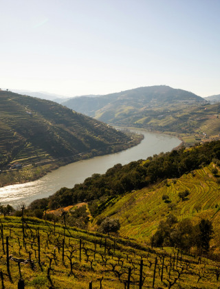 Vista panoramica di colline, vigneti e un fiume presso un villaggio vacanze con glamping.