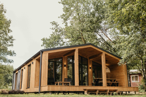 Moderne houten lodge Hill Top Scandi met Sauna met ruim terras, midden in groene bomen.
