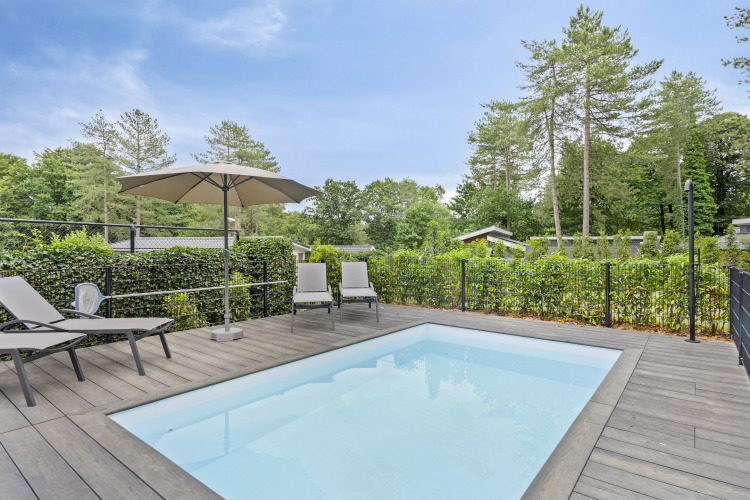 Kleiner Pool mit Liegestühlen und Sonnenschirm an einer Lodge, umgeben von Bäumen in De Thijmse Berg, Niederlande.