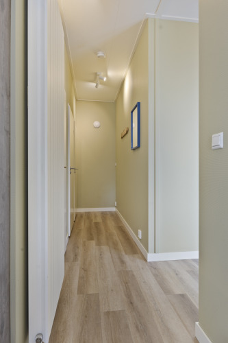 Heller Flur mit hellem Holzfußboden und grünen Wänden in der 10-Personen-Lodge mit Pool in De Thijmse Berg.