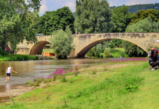 Stone bridge over river with people, purple flowers, and dogs at Campingpark Echternacherbrück, Germany.