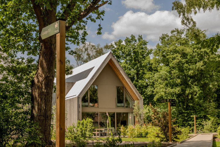Casa de lodge moderna con techo inclinado y grandes ventanales en Woodz Lodges, rodeada de árboles verdes.