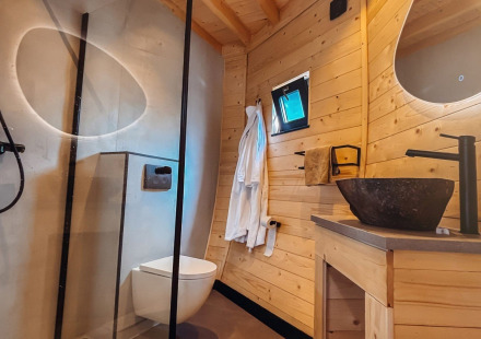Moderne badkamer met houten wanden, douche, toilet en stenen wastafel bij Wellnest, Camping Vinkenhof, Nederland.