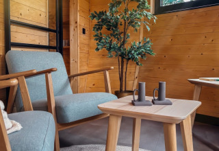 Acogedora sala en Wellnest, Camping Vinkenhof, Países Bajos, con paredes de madera y decoración moderna.