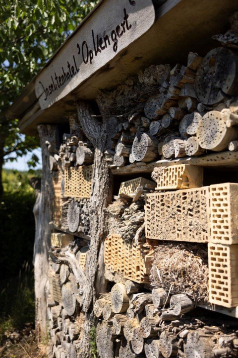 Hôtel à insectes en bois et briques sous une enseigne au parc Auf Kengert à Diekirch, Luxembourg.