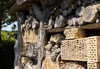 Insectenhotel van hout en stenen onder een bord in vakantiepark Auf Kengert, Diekirch, Luxemburg.