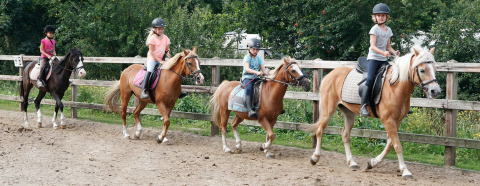 Equitazione per bambini - De Boshoek - Voorthuizen, Gheldria, Paesi Bassi