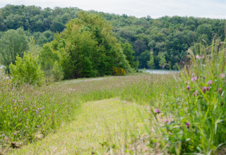 Grüne Wiese und Waldlandschaft im Domaine La Barbe, einem Ferienpark in Occitanie, Frankreich.