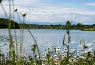 Vue pittoresque d’un lac entouré de fleurs sauvages et d’arbres près de Lalanne-Arqué, Occitanie, France.