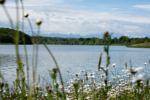 Vista pintoresca de un lago con flores silvestres y árboles cerca de Lalanne-Arqué, Occitania, Francia.