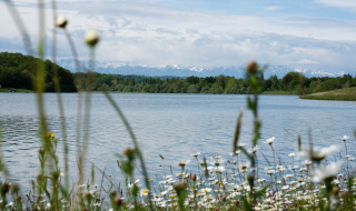 Scenic view of a lake surrounded by wildflowers and trees near Lalanne-Arqué, Occitanie, France.
