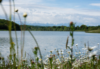 Vista panoramica di un lago circondato da fiori selvatici e alberi vicino a Lalanne-Arqué, Occitania, Francia.