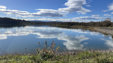 Vista tranquilla su un lago con nuvole riflesse nell’acqua, immerso nel verde presso Domaine La Barbe, Occitanie, Francia.