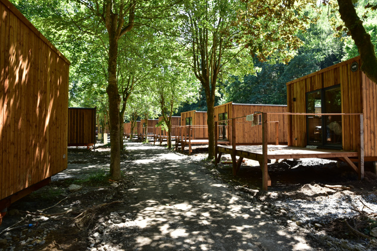 Træhytter ved Ecolodge på Hameau de l'Ourthe i Belgien, omgivet af grønne træer og naturligt lys.