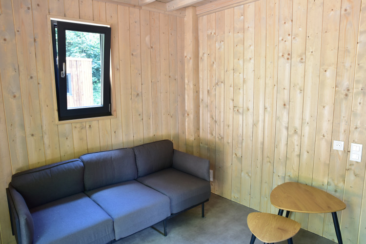 Moderne lodge-stue på Ecolodge ved Hameau de l'Ourthe i Belgien med grå sofa og trævægge.