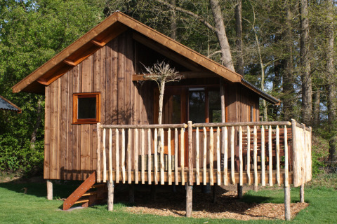 Houten blokhut met veranda in een bosrijke omgeving bij Camping de Koeksebelt, Overijssel, Nederland.