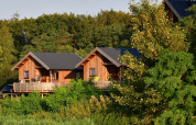 Two tree houses among the trees - De Koeksebelt - Ommen, Overijssel, Netherlands