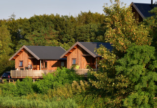 Two tree houses among the trees - De Koeksebelt - Ommen, Overijssel, Netherlands