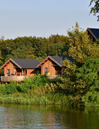 Twee boomhutten tussen de bomen - De Koeksebelt - Ommen, Overijssel, Nederland