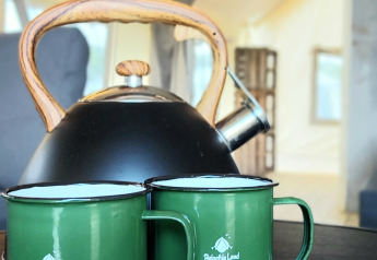 Black teapot with wooden handle and two green mugs on a table in a safari tent at Beloofde Land, Netherlands.