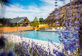 Outdoor swimming pool with yellow slide and thatched hut at a glamping site, surrounded by blue flowers.