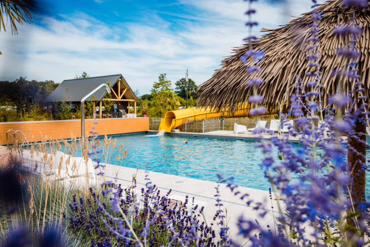 Outdoor swimming pool with yellow slide and thatched hut at a glamping site, surrounded by blue flowers.