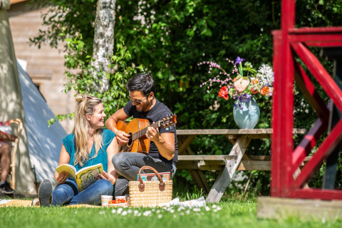 Paar genießt Picknick auf dem Rasen im Zweedse Huisjes am Beloofde Land, Niederlande, mit Gitarre.
