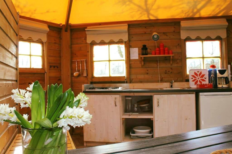 Gemütliche Holzhütte mit Blumen, Fenstern und Küchenzeile in Zweedse Huisjes, Beloofde Land, Niederlande.