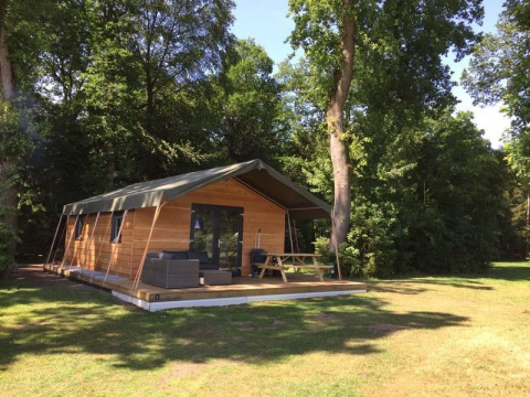 Luxe safaritent op een houten terras omringd door bomen bij Camping de Noetselerberg in Overijssel, Nederland.